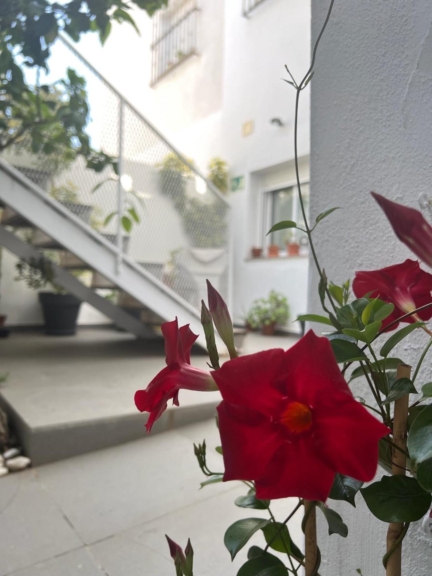 Chipibeach B&B, Hostal Boutique ชิปปีโอนา ภายนอก รูปภาพ